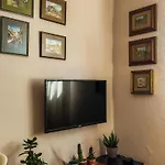 Seasons - Free Parking & Center Shkoder