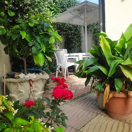 Apartment Seasons - Free Parking & Center *