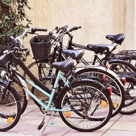 Seasons - Free Parking & Center Apartment *