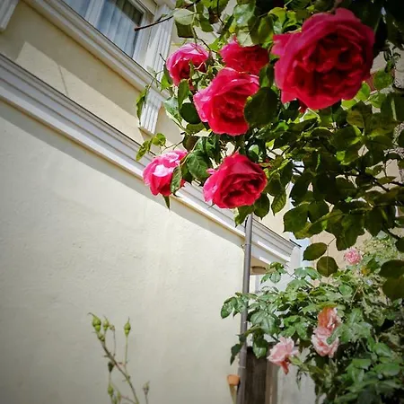 Seasons - Free Parking & Center Apartment Shkoder