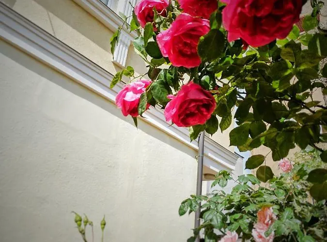 Seasons - Free Parking & Center Appartamento Shkodër